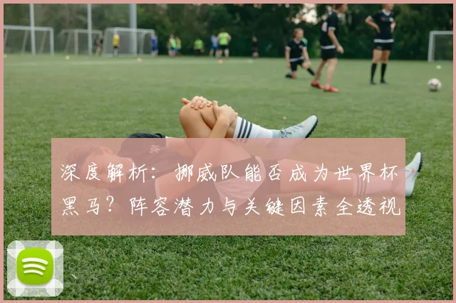 深度解析:挪威队能否成为世界杯黑马?阵容潜力与关键因素全透视
