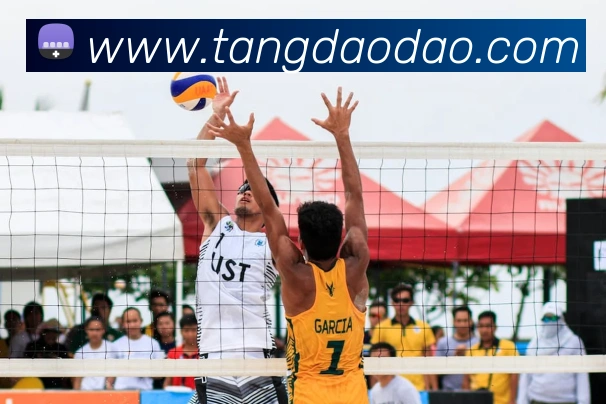 企业概况